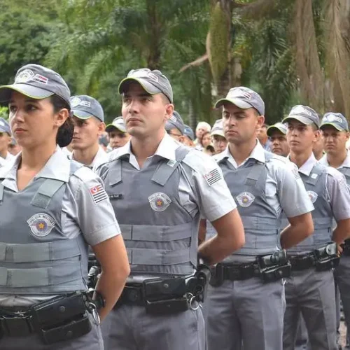 O Estado psicológico do Policial Militar após atendimento de ocorrência de vulto